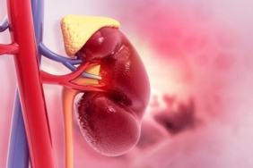 Adrenal Yetmezlik ve Hamilelik Arasındaki İlişki nedir?