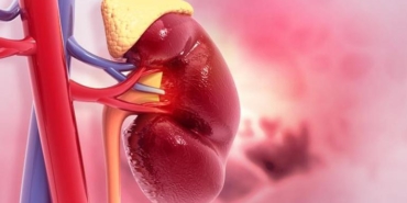 Adrenal Yetmezlik ve Hamilelik Arasındaki İlişki nedir?