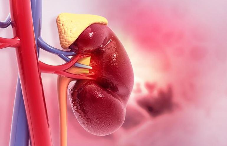 Adrenal Yetmezlik ve Hamilelik Arasındaki İlişki nedir?